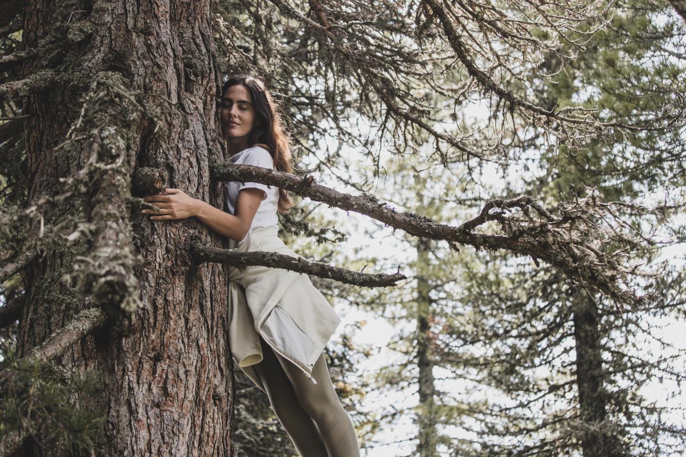 Blogbeitrag_10_Zirbe