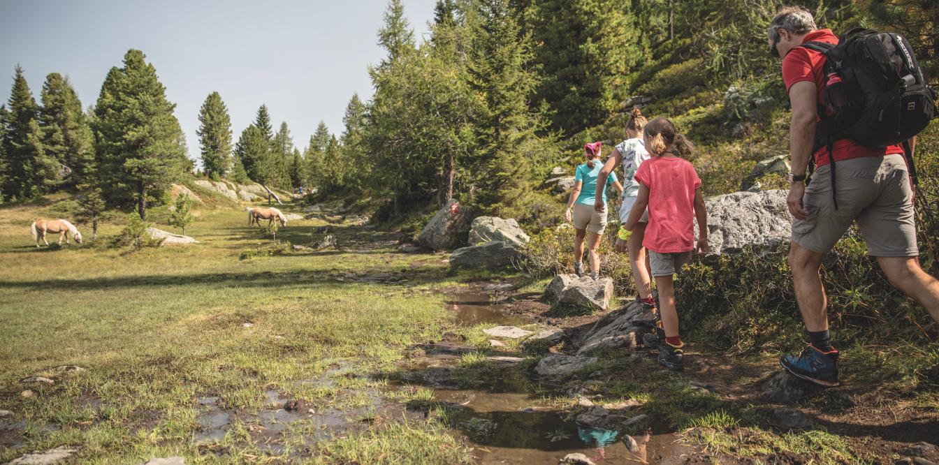 shj-familie-wandern-05