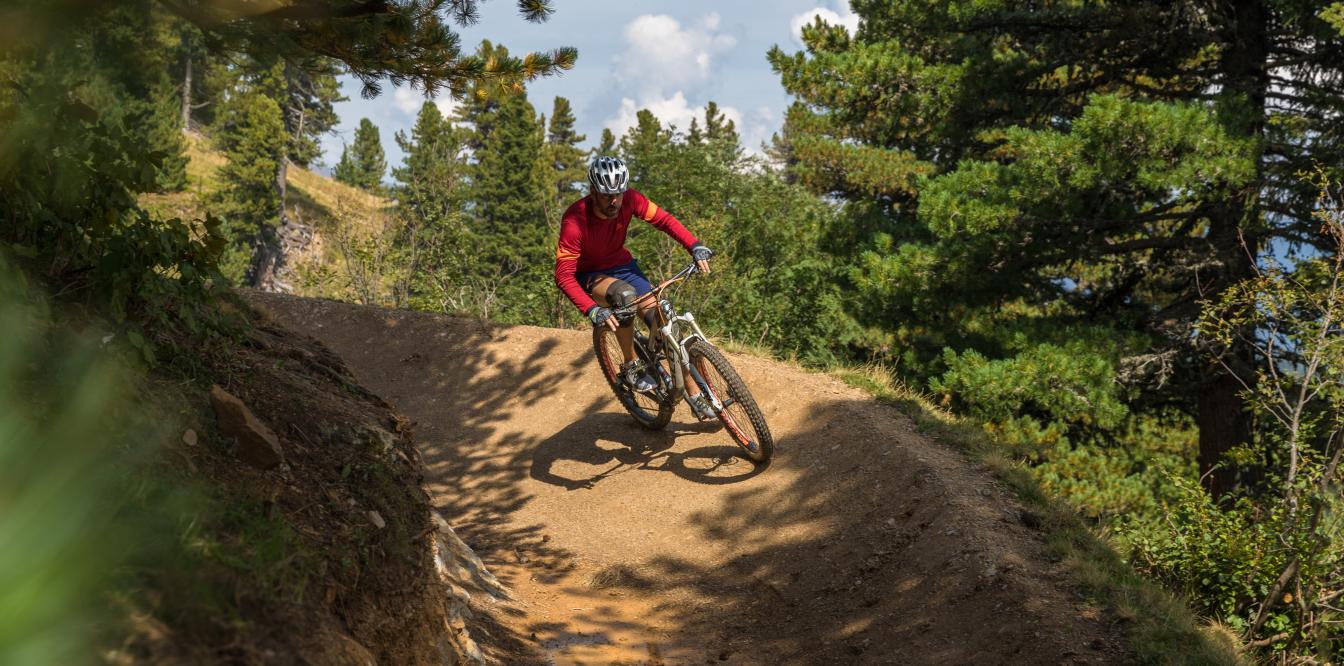 Kornocktrail Wald_Attisani