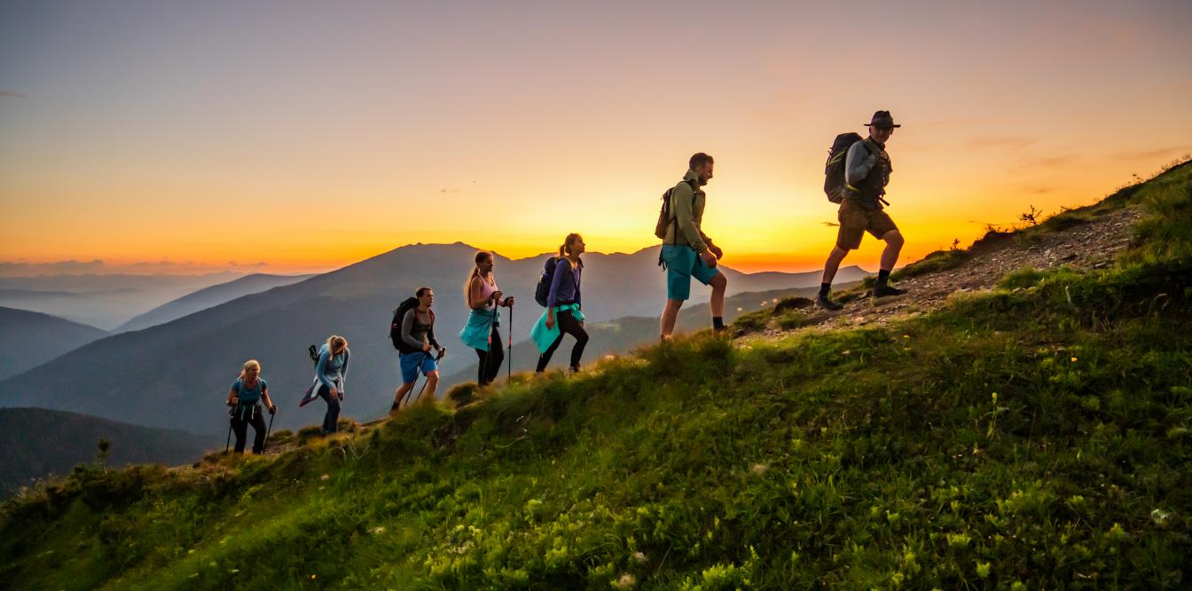 Turrach Edit Rest-250 Turrach Edit Rest-250