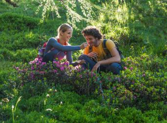 150703-TH-0812 150703-TH-0812