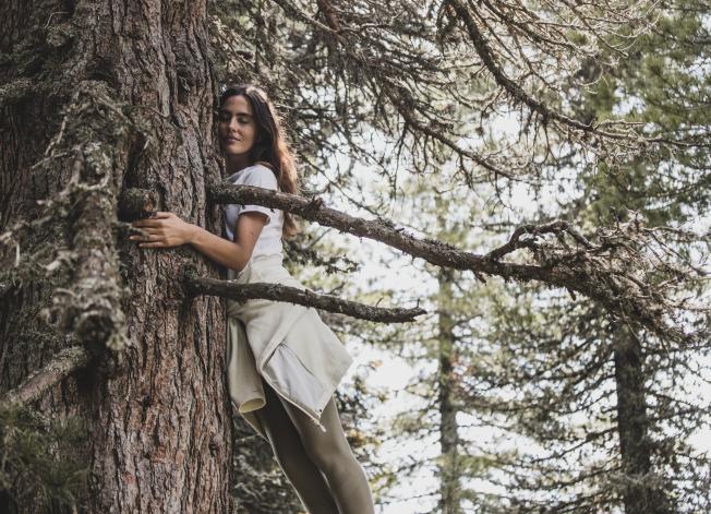 Blogbeitrag_10_Zirbe